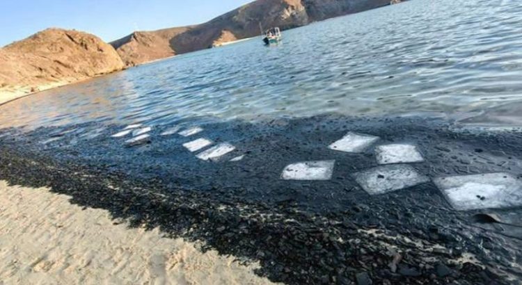 Grave daño ecológico en Playa Balandra