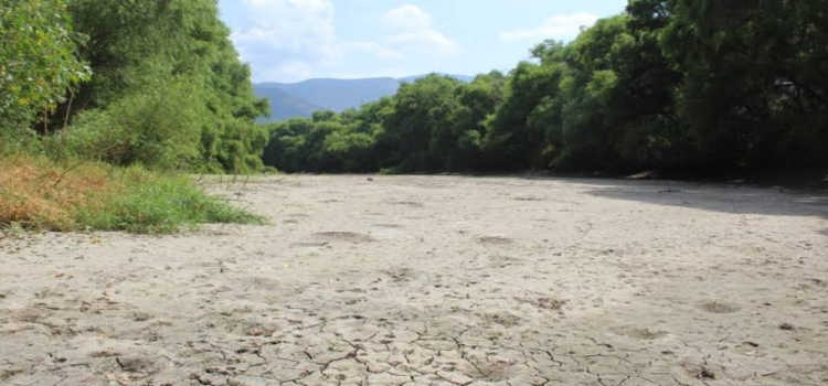 Incrementa las áreas de sequía en Hidalgo