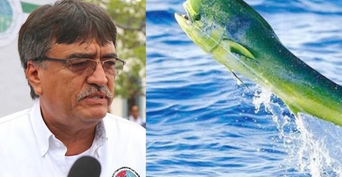 Es un atentado contra el desarrollo y futuro de Los Cabos, la liberación del Dorado: Oscar Leggs