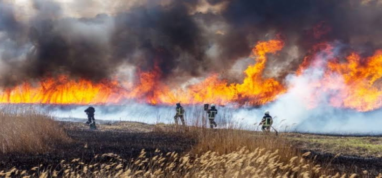 Un incendio diario este mes en Hidalgo