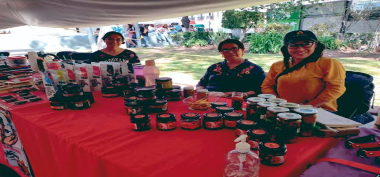 Artesanos invitan a consumir productos creados en Hidalgo