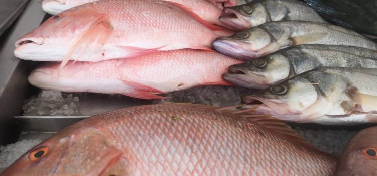 Pescado aumenta 10%, a media cuaresma en Tulancingo