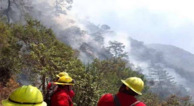 Registra Hidalgo 25 incendios forestales en lo que va del año