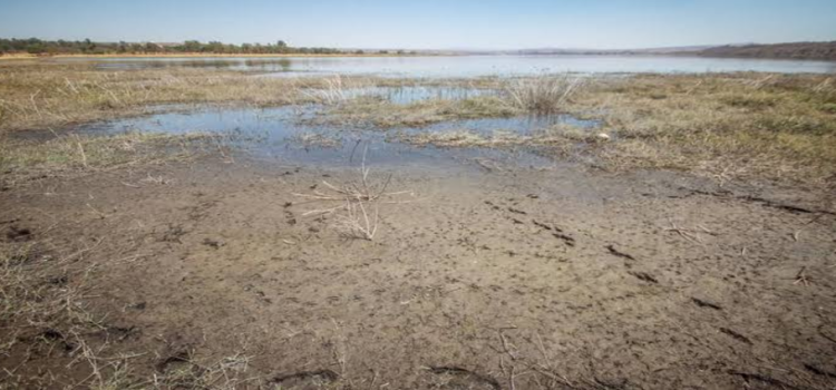 Falta de lluvias impacta en 60 de los 84 municipios, padecen sequía y escasez de agua