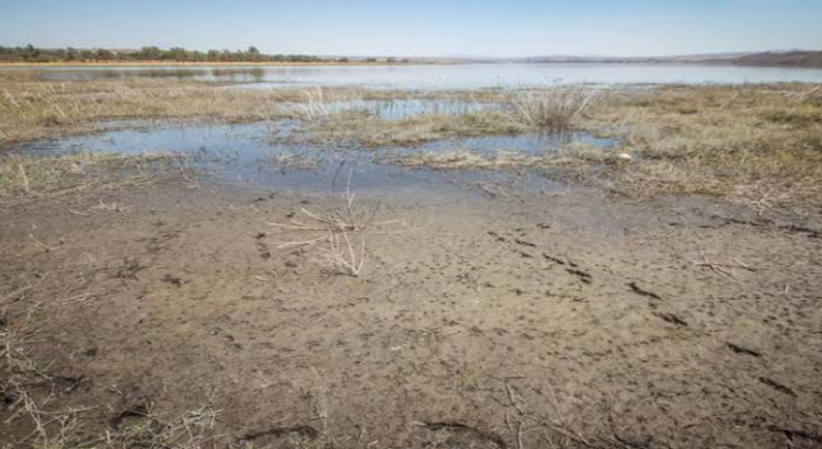 Falta de lluvias impacta en 60 de los 84 municipios, padecen sequía y escasez de agua