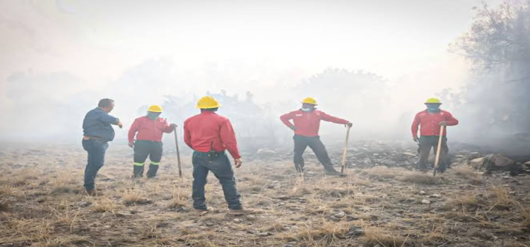 Realizó Hidalgo operativos para prevenir incendios forestales