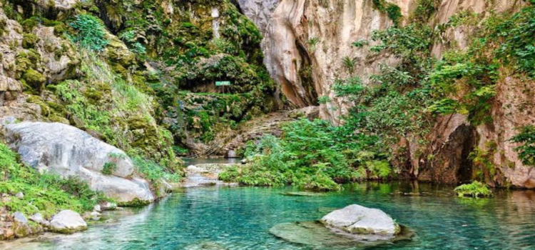 El parque ecoturístico de Hidalgo que tiene aguas termales