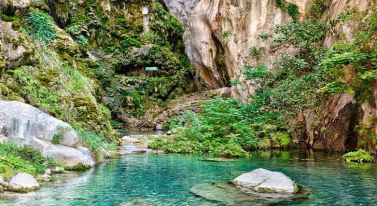 El parque ecoturístico de Hidalgo que tiene aguas termales