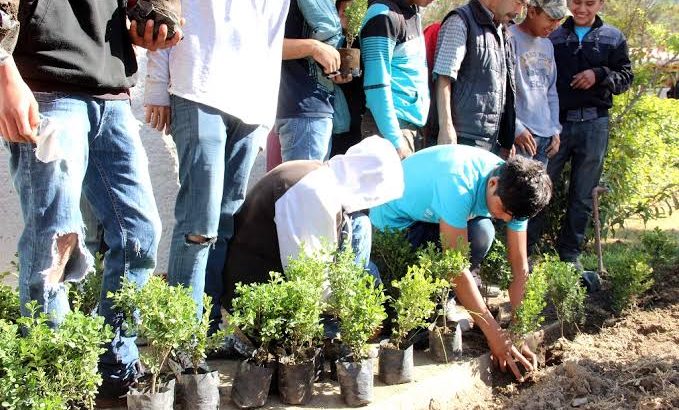 Alistan jornadas de reforestación en Tulancingo