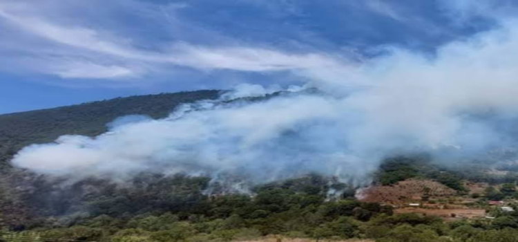 En Hidalgo registran tres incendios forestales activos