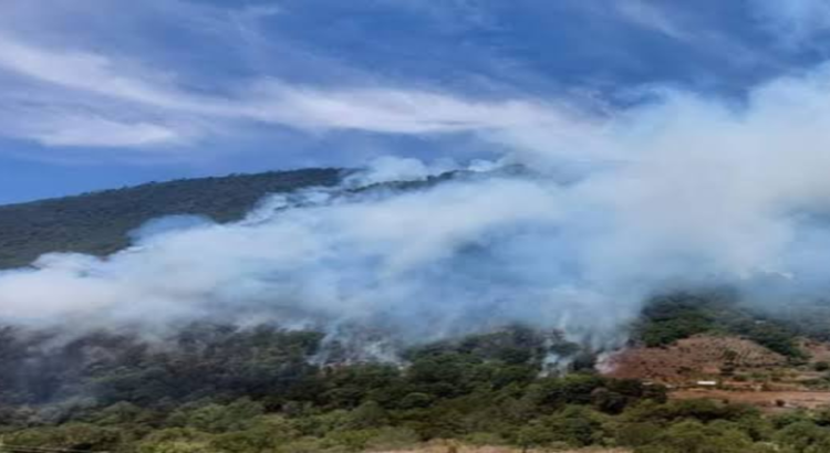 En Hidalgo registran tres incendios forestales activos