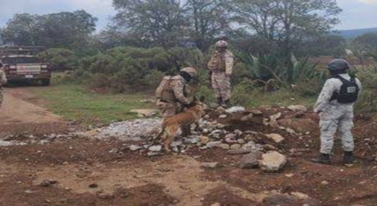 Guardia Nacional localiza 10 tomas de ‘huachicol’ en municipios de Hidalgo Guardia Nacional localiza 10 tomas de ‘huachicol’ en municipios de Hidalgo