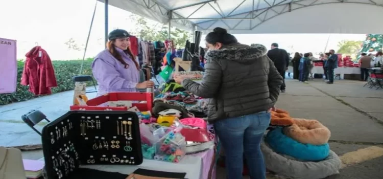 DIF Hidalgo organiza un bazar con causa