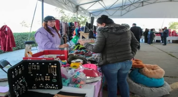 DIF Hidalgo organiza un bazar con causa