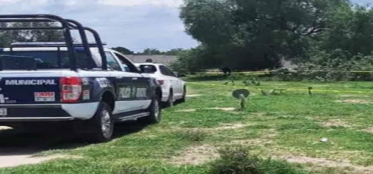 Localizan cadáver de mujer que era devorado por animales en Hidalgo