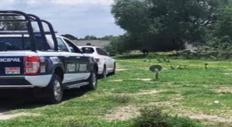 Localizan cadáver de mujer que era devorado por animales en Hidalgo