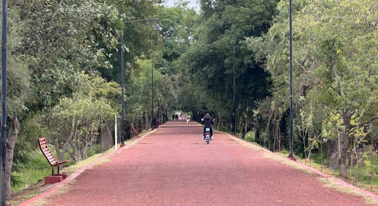 Inicia remozamiento de sendero intermunicipal en el tramo Tulancingo