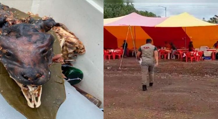 Desalojo a local “El tío Pepe” por vender barbacoa de perro en Hidalgo