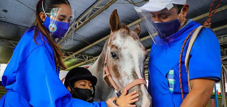 DIF de Tulancingo abre inscripciones para participar en campaña de equinoterapia