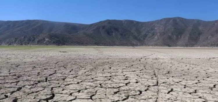 Sequía azota por primera vez los 84 municipios de Hidalgo