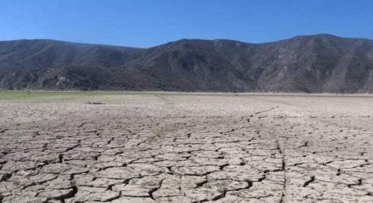 Sequía azota por primera vez los 84 municipios de Hidalgo