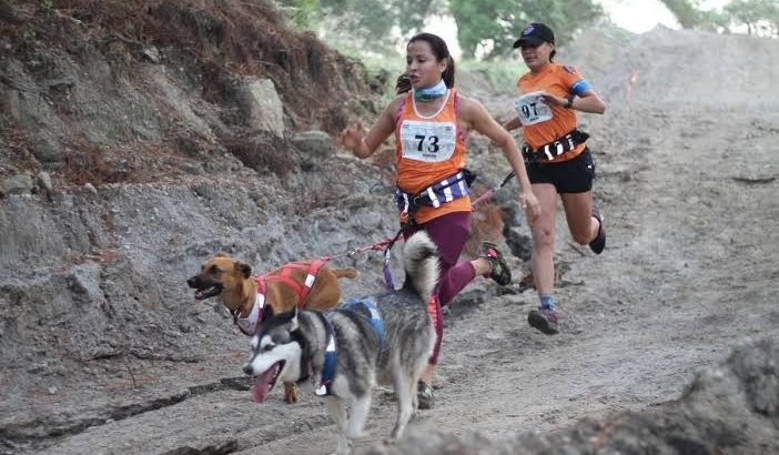 Hidalgo es pionero en canicross, deporte en que canes y humanos se complementan
