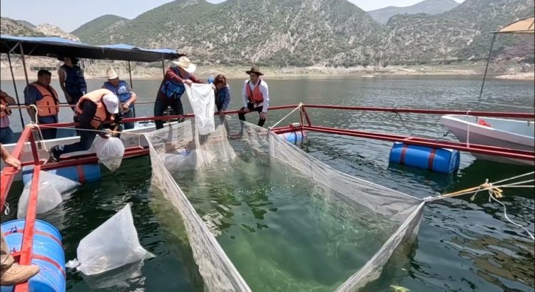 Supera Saderh metas en sector piscícola de Hidalgo