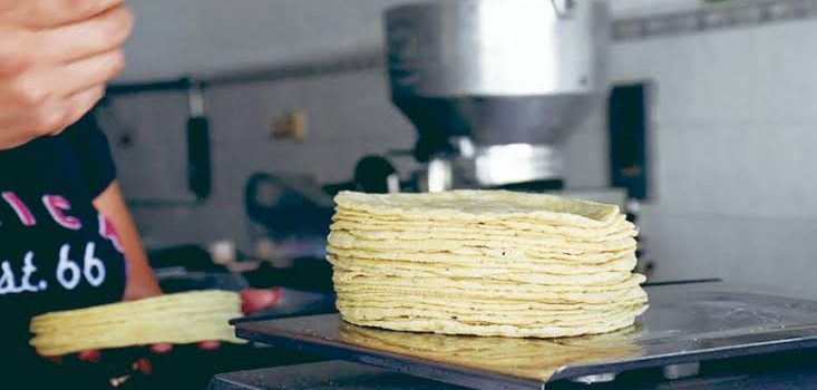 Mantendrán precio de tortilla en Tulancingo