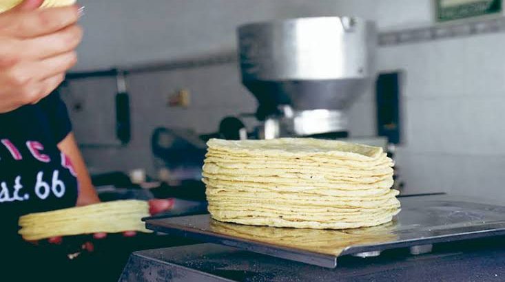 Mantendrán precio de tortilla en Tulancingo