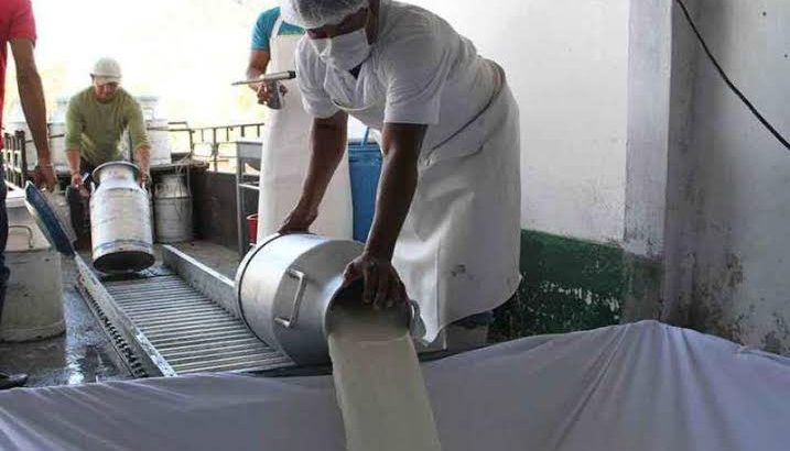 Entregan apoyos por 3 mdp para productores de leche en Valle de Tulancingo