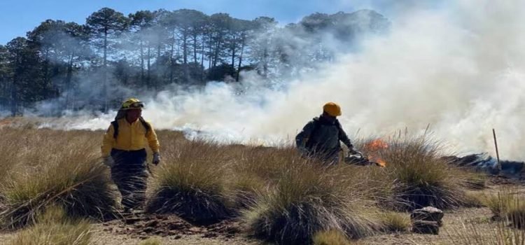 Hidalgo, en alerta amarilla por incendios forestales