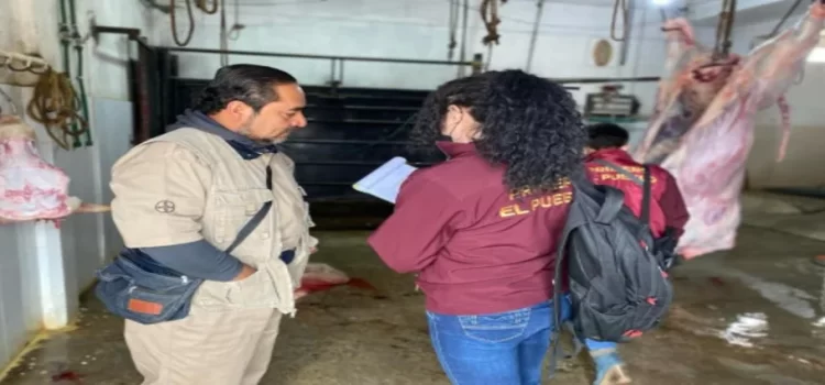 Aseguran 350 kilos de carne de dudosa procedencia en Hidalgo