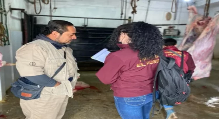 Aseguran 350 kilos de carne de dudosa procedencia en Hidalgo