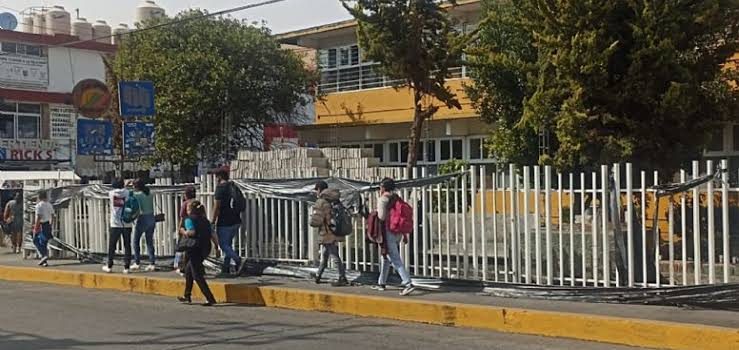 Sancionan a escuela por tala de árbol en Tulancingo