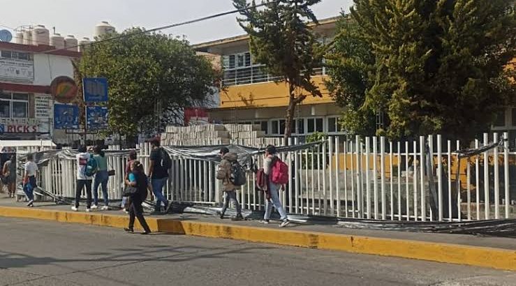 Sancionan a escuela por tala de árbol en Tulancingo