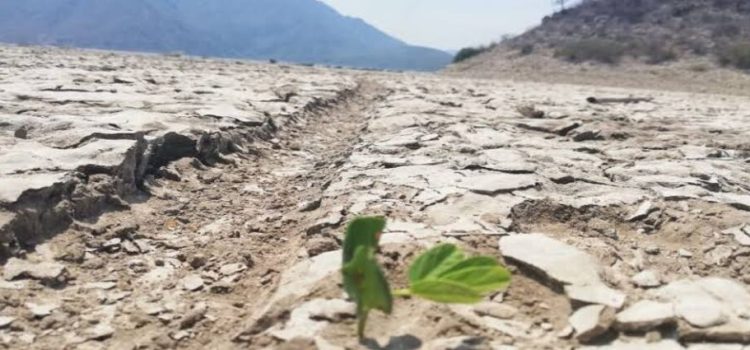 Incrementa sequía excepcional y extrema en Hidalgo