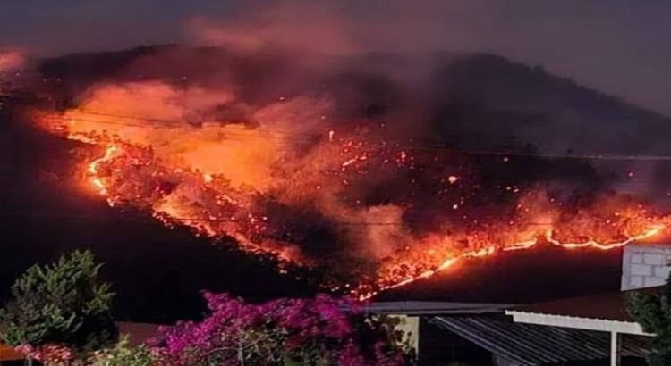 Incendios forestales mantienen en alerta a vecinos y autoridades en Hidalgo