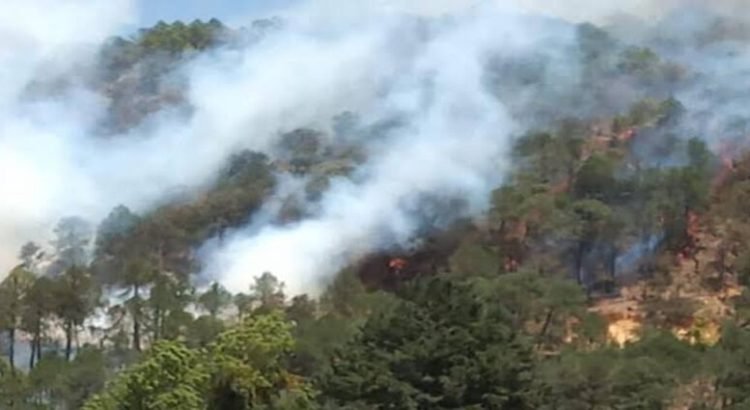Se mantienen activos 3 incendios forestales en Nicolás Flores, Hidalgo