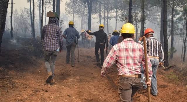 Piden autoridades de Tulancingo denunciar incendios provocados