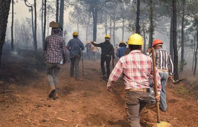 Piden autoridades de Tulancingo denunciar incendios provocados