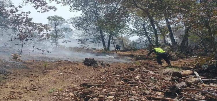 Incendio forestal en Sierra Gorda de Hidalgo cumple nueve días