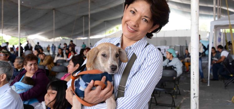 En Tulancingo, pendiente el reglamento para la protección de animales