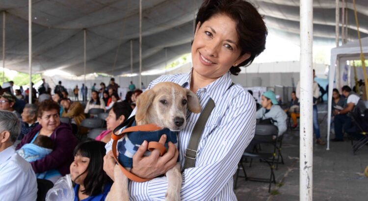 En Tulancingo, pendiente el reglamento para la protección de animales