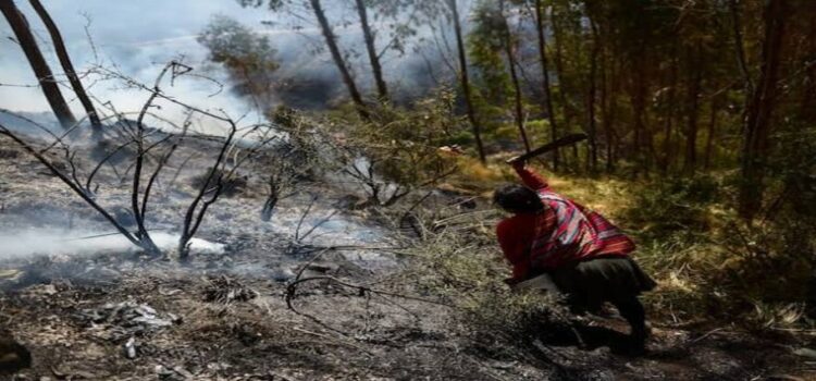 En Hidalgo, sequía ha dificultado sofocación de incendios forestales