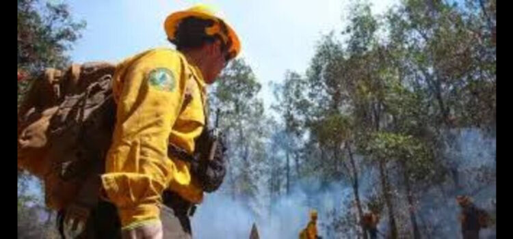 En Hidalgo suman 104 incendios forestales y daños en 2 mil 400 hectáreas