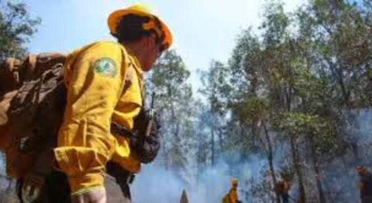 En Hidalgo suman 104 incendios forestales y daños en 2 mil 400 hectáreas