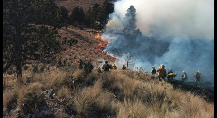 Incendios forestales en Hidalgo dañan más de dos mil hectáreas