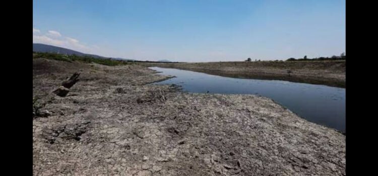Hidalgo activa estado de emergencia por sequía extrema