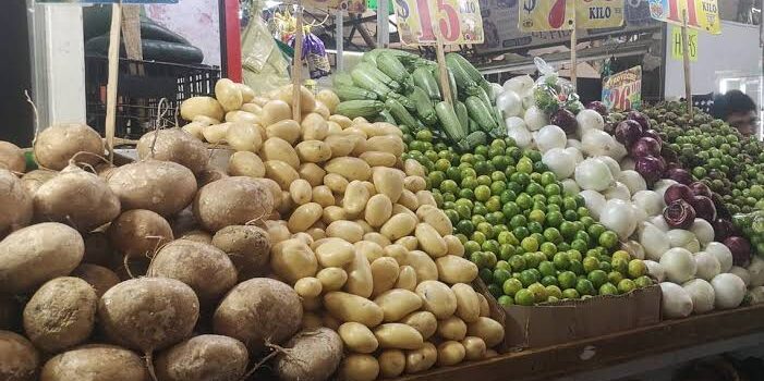 Cilantro, espinacas y chayotes por los cielos en Tulancingo