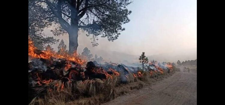 Incendios forestales en Hidalgo no dan tregua